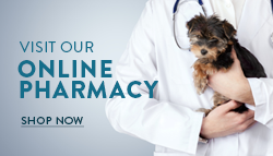 My Vet Online Pharmacy